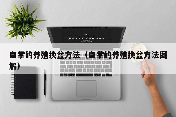 白掌的养殖换盆方法（白掌的养殖换盆方法图解） 
