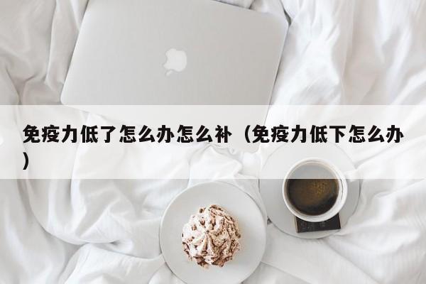 免疫力低了怎么办怎么补（免疫力低下怎么办） 