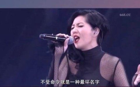 傻仔(傻仔婿与巧媳妇)