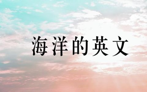 海洋朋友(海洋朋友圈文案)