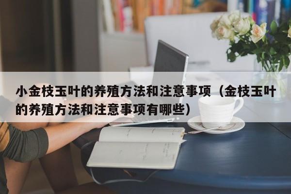 小金枝玉叶的养殖方法和注意事项（金枝玉叶的养殖方法和注意事项有哪些） 