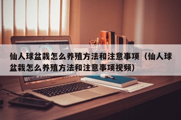 仙人球盆栽怎么养殖方法和注意事项（仙人球盆栽怎么养殖方法和注意事项视频） 