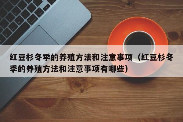 红豆杉冬季的养殖方法和注意事项（红豆杉冬季的养殖方法和注意事项有哪些） 