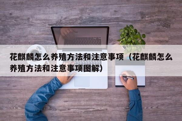 花麒麟怎么养殖方法和注意事项（花麒麟怎么养殖方法和注意事项图解） 