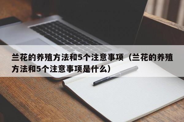 兰花的养殖方法和5个注意事项（兰花的养殖方法和5个注意事项是什么） 