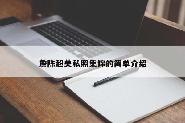 詹陈超美私照集锦的简单介绍 