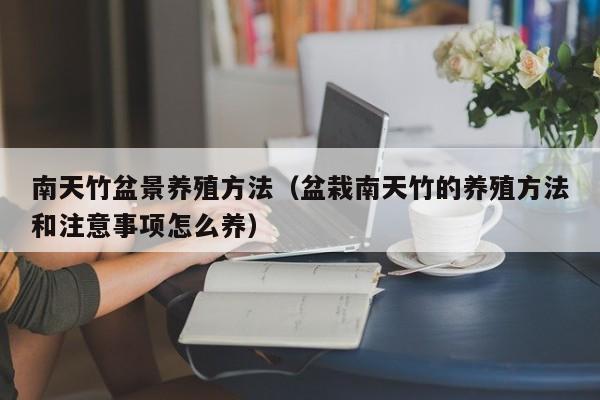 南天竹盆景养殖方法（盆栽南天竹的养殖方法和注意事项怎么养） 