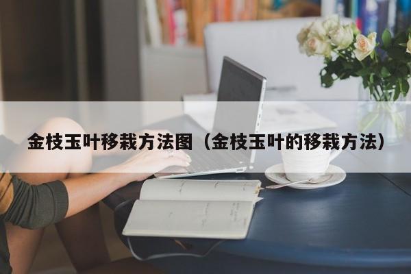 金枝玉叶移栽方法图（金枝玉叶的移栽方法） 