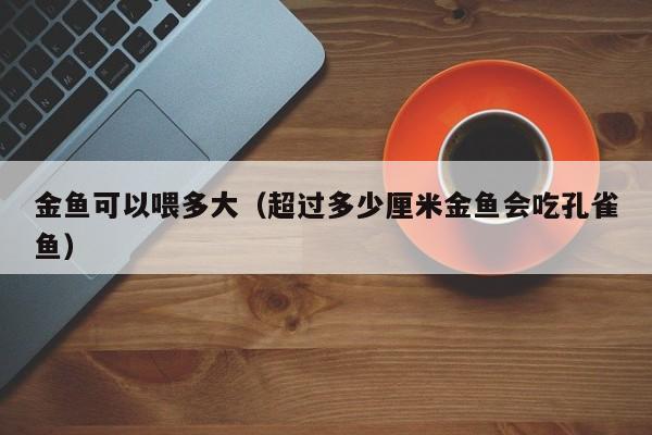 金鱼可以喂多大（超过多少厘米金鱼会吃孔雀鱼） 