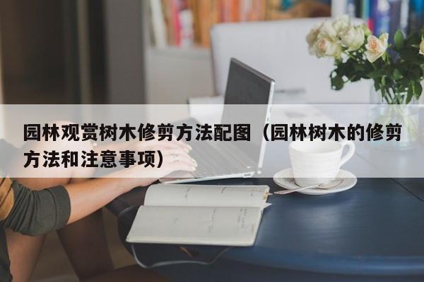 园林观赏树木修剪方法配图（园林树木的修剪方法和注意事项） 