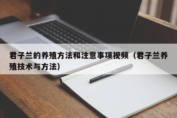 君子兰的养殖方法和注意事项视频（君子兰养殖技术与方法） 