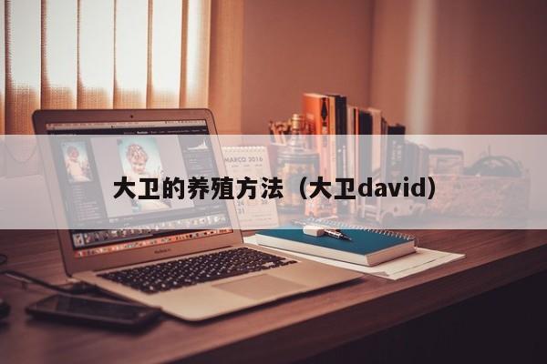 大卫的养殖方法（大卫david） 