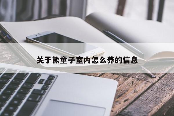 关于熊童子室内怎么养的信息 