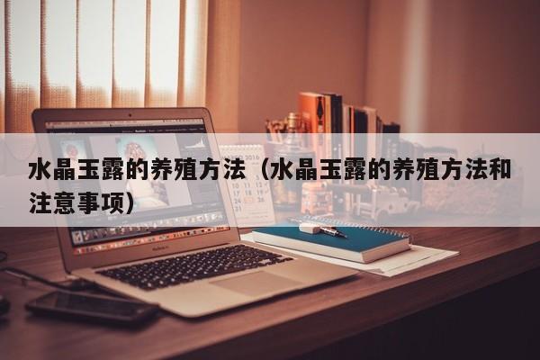 水晶玉露的养殖方法（水晶玉露的养殖方法和注意事项） 