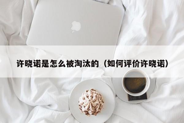 许晓诺是怎么被淘汰的（如何评价许晓诺） 