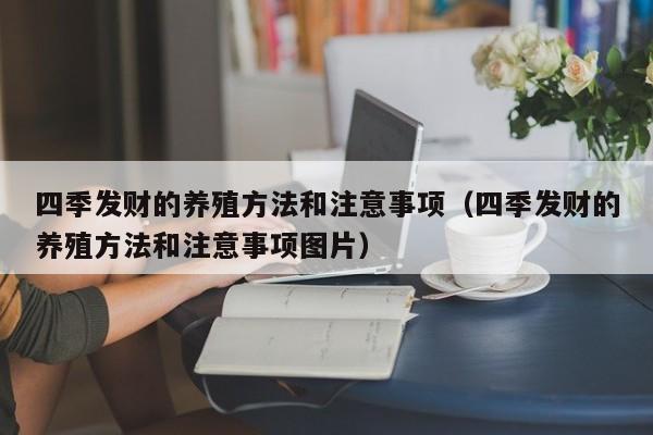 四季发财的养殖方法和注意事项（四季发财的养殖方法和注意事项图片） 