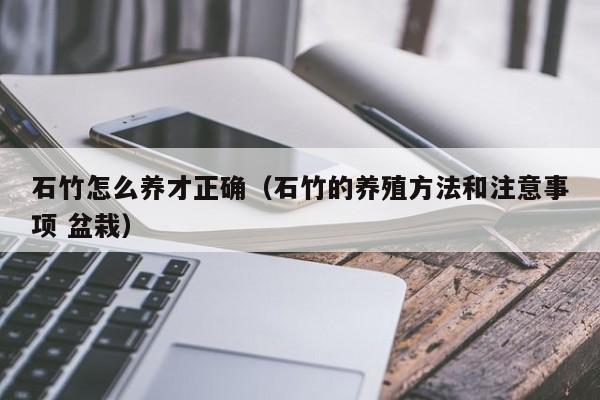 石竹怎么养才正确（石竹的养殖方法和注意事项 盆栽） 