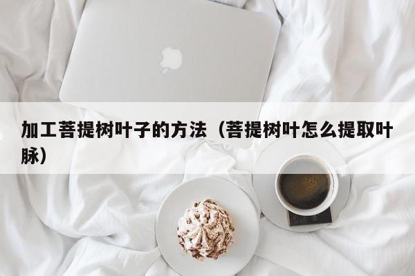 加工菩提树叶子的方法（菩提树叶怎么提取叶脉） 