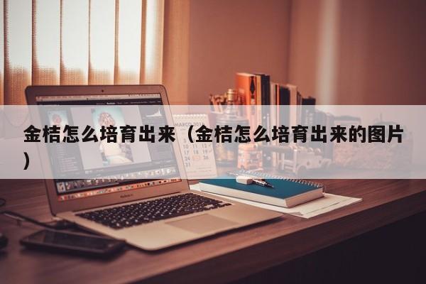 金桔怎么培育出来（金桔怎么培育出来的图片） 