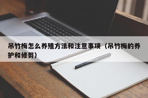 吊竹梅怎么养殖方法和注意事项（吊竹梅的养护和修剪） 