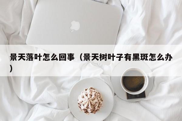 景天落叶怎么回事（景天树叶子有黑斑怎么办） 