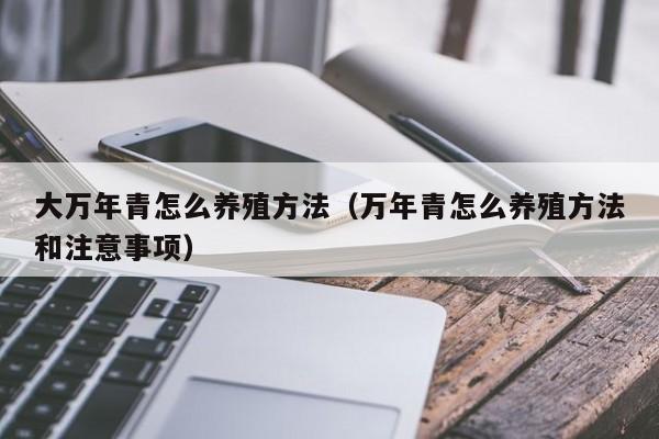 大万年青怎么养殖方法（万年青怎么养殖方法和注意事项） 