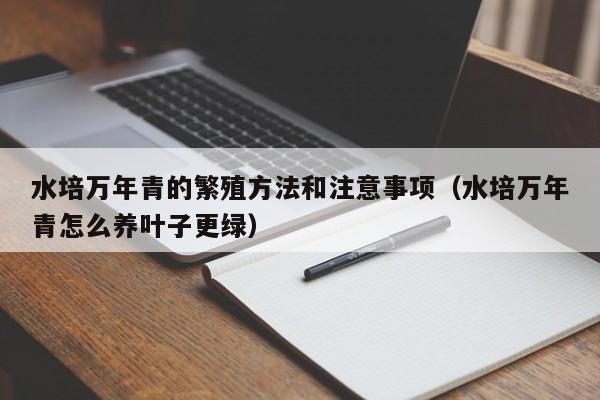 水培万年青的繁殖方法和注意事项（水培万年青怎么养叶子更绿） 