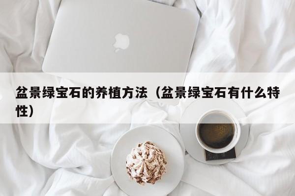 盆景绿宝石的养植方法（盆景绿宝石有什么特性） 