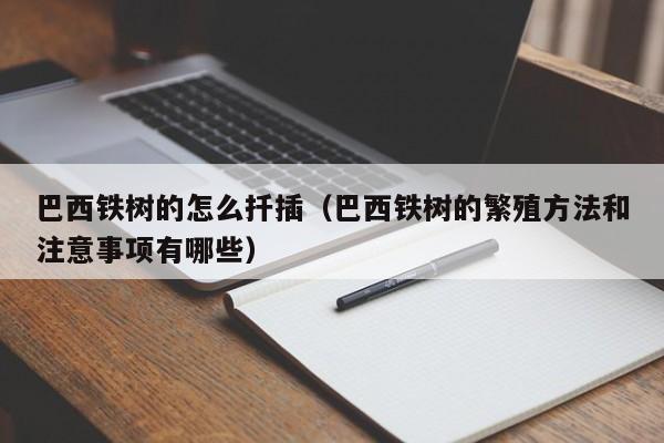 巴西铁树的怎么扦插（巴西铁树的繁殖方法和注意事项有哪些） 