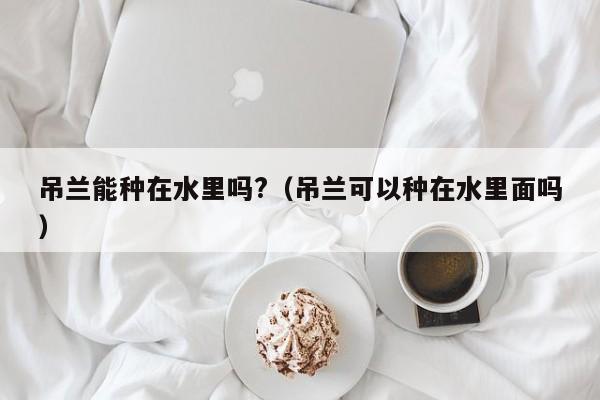 吊兰能种在水里吗?（吊兰可以种在水里面吗） 