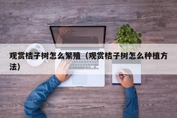 观赏桔子树怎么繁殖（观赏桔子树怎么种植方法） 