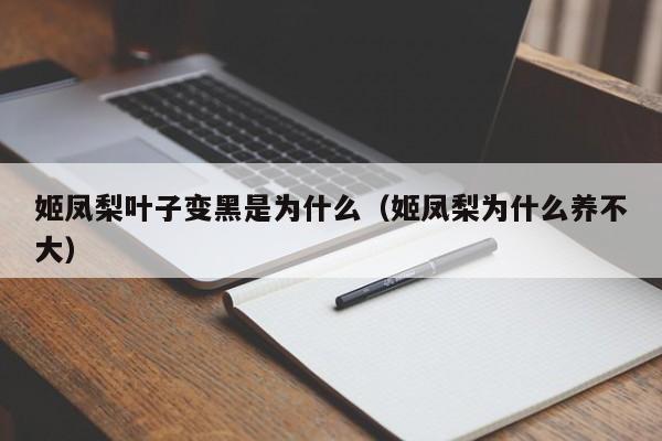 姬凤梨叶子变黑是为什么（姬凤梨为什么养不大） 