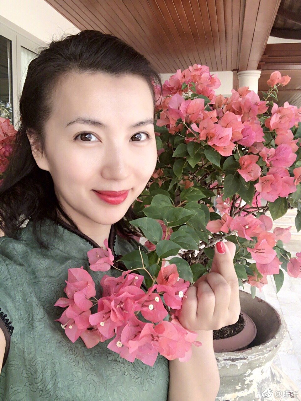 陈好为什么在中戏教书(陈好中戏教授 没发表过文章!)