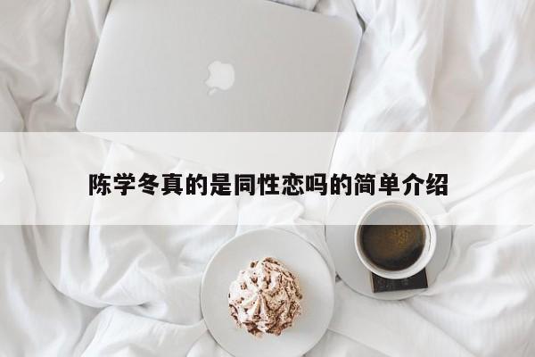 陈学冬真的是同性恋吗的简单介绍 