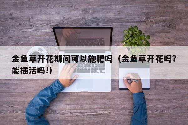 金鱼草开花期间可以施肥吗（金鱼草开花吗?能插活吗!） 