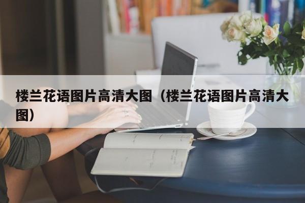 楼兰花语图片高清大图（楼兰花语图片高清大图） 