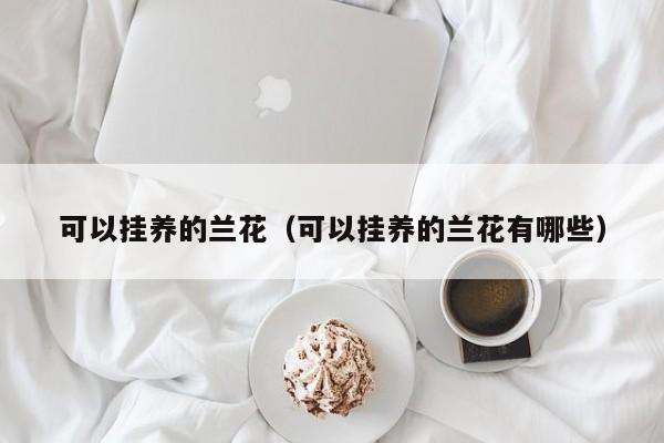 可以挂养的兰花（可以挂养的兰花有哪些） 