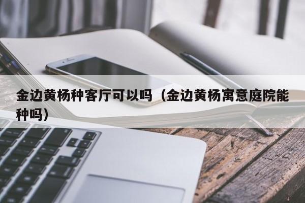 金边黄杨种客厅可以吗（金边黄杨寓意庭院能种吗） 