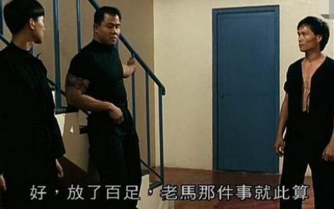 贺力王(贺力王主演叫什么名)