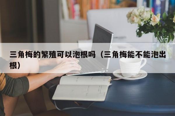 三角梅的繁殖可以泡根吗（三角梅能不能泡出根） 