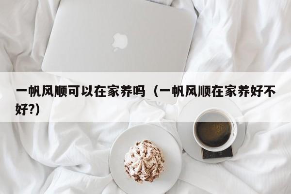 一帆风顺可以在家养吗（一帆风顺在家养好不好?） 