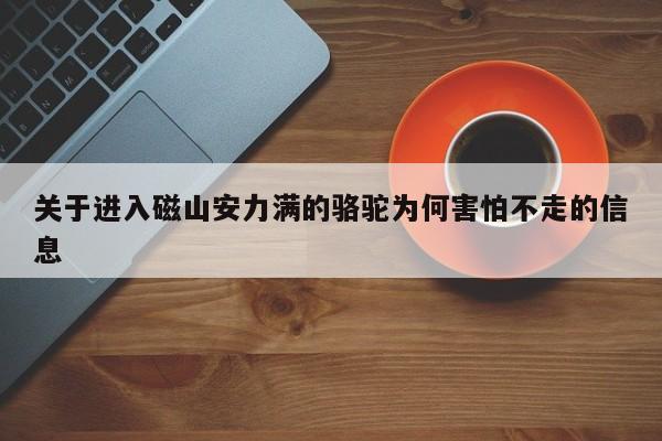 关于进入磁山安力满的骆驼为何害怕不走的信息 