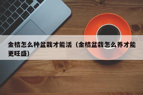 金桔怎么种盆栽才能活（金桔盆栽怎么养才能更旺盛） 