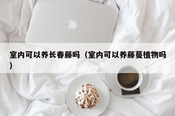 室内可以养长春藤吗（室内可以养藤蔓植物吗） 