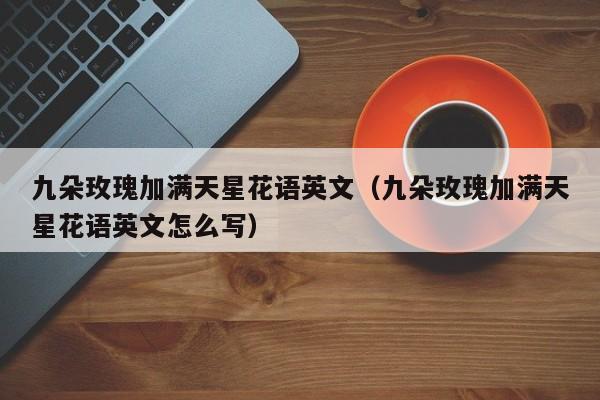 九朵玫瑰加满天星花语英文（九朵玫瑰加满天星花语英文怎么写） 