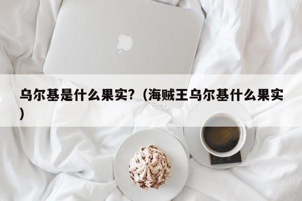 乌尔基是什么果实?（海贼王乌尔基什么果实） 