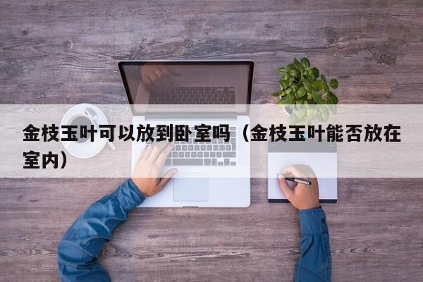 金枝玉叶可以放到卧室吗（金枝玉叶能否放在室内） 