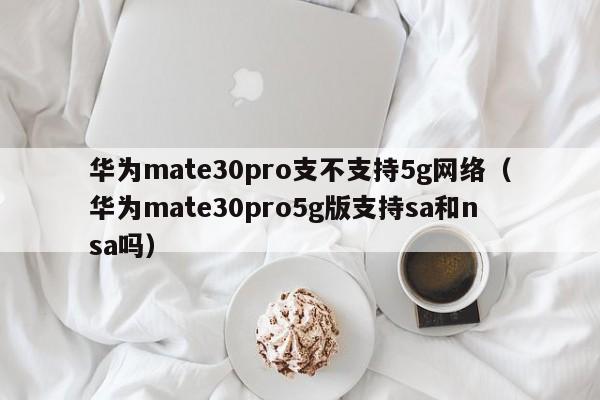 华为mate30pro支不支持5g网络（华为mate30pro5g版支持sa和nsa吗） 