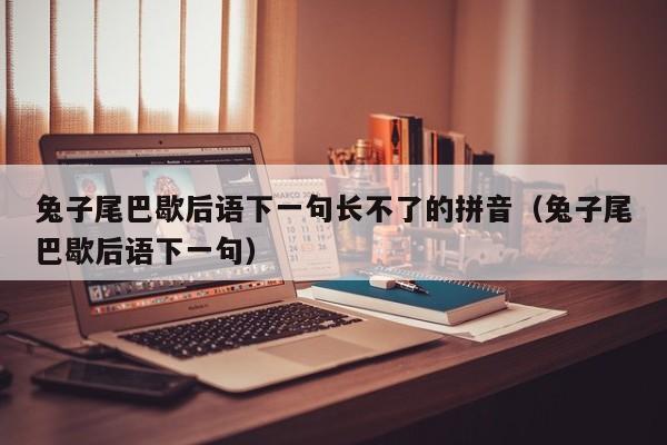 兔子尾巴歇后语下一句长不了的拼音（兔子尾巴歇后语下一句） 