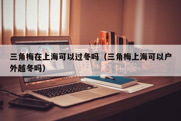 三角梅在上海可以过冬吗（三角梅上海可以户外越冬吗） 